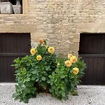 Alojamento de Acomodação e Pequeno-almoço D’hôtes De L’ancienne Thaon