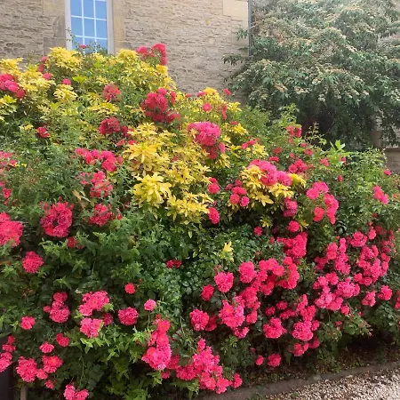 D'hotes De L'ancienne Frühstückspension 3*