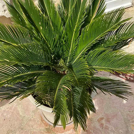 D'hotes De L'ancienne