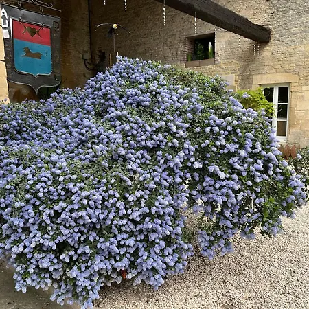 D'hotes De L'ancienne