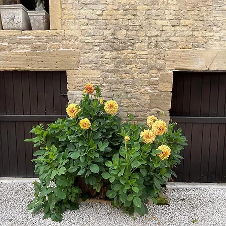 Bed & Breakfast D'hotes De L'ancienne Thaon