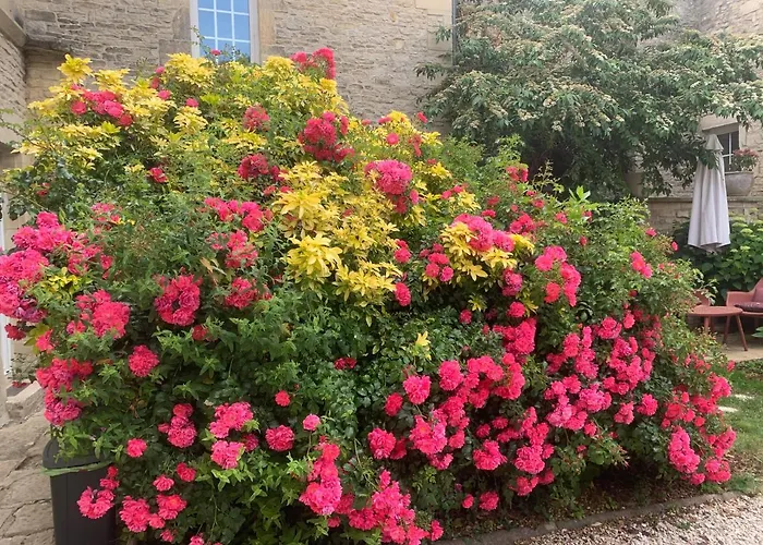 D’hôtes De L’ancienne Alojamento de Acomodação e Pequeno-almoço 3*