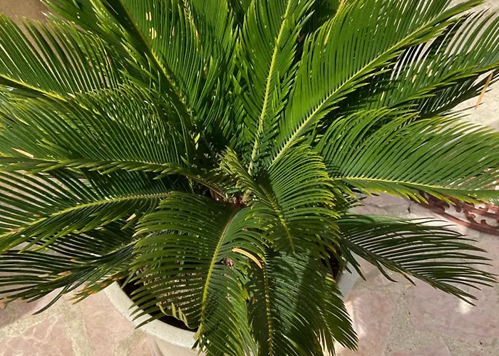 D’hôtes De L’ancienne