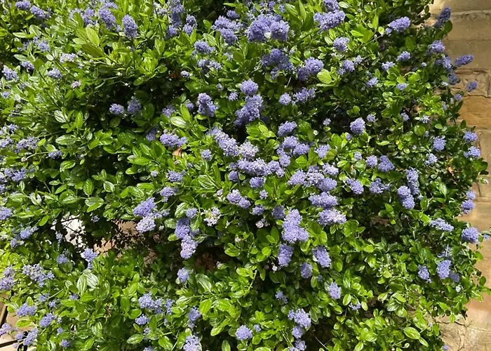 D’hôtes De L’ancienne Alojamento de Acomodação e Pequeno-almoço