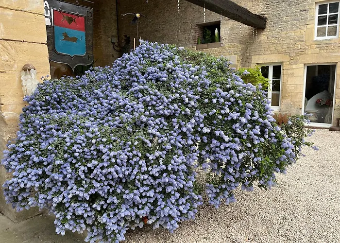 D’hôtes De L’ancienne